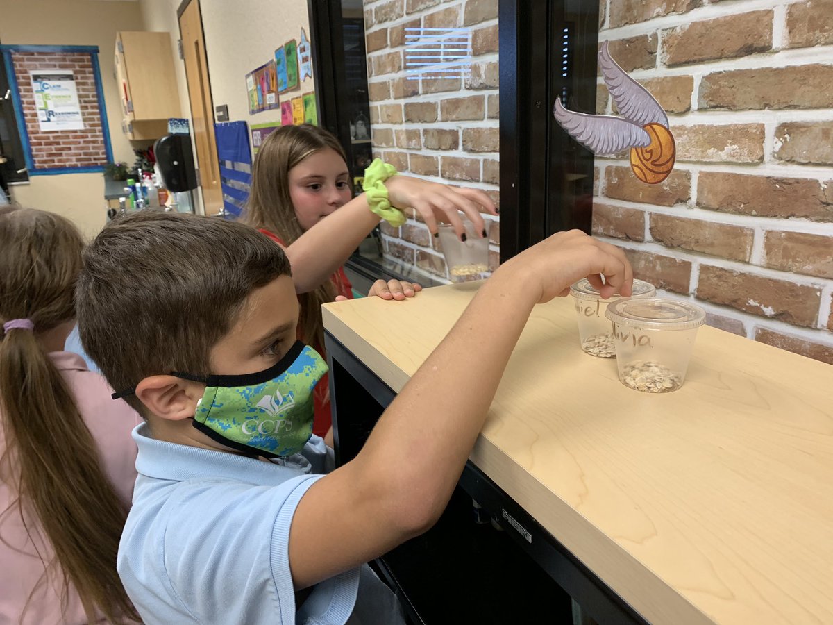 MsVandewerken's tweet photo. What’s buggin you? We see up our cups today to observe the lifecycle of a meal worm. @PLEgators #gatorstrong https://t.co/Z9br6hijHV