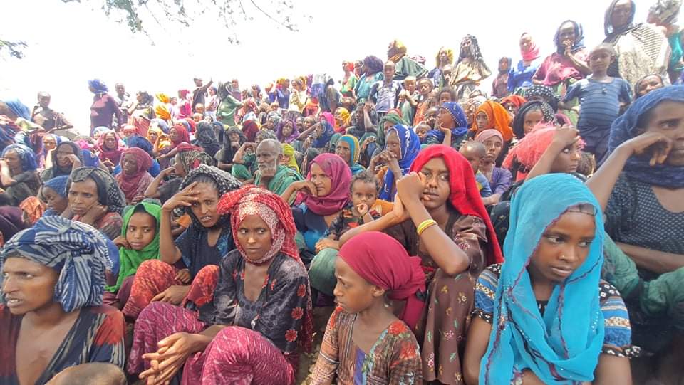 አራተኛው መልዕክት TPLF is responsible for famine in Amhara Rebels are Looting humanitarian aid, blocking roads &amp; destroying livelihoods in Amhara. The IC should demand the #TigrayRebels to stop targeting &amp; killing civilians
#AidForAmharaIDPs #FoodforAmharaIDPs
#WolloCantWait