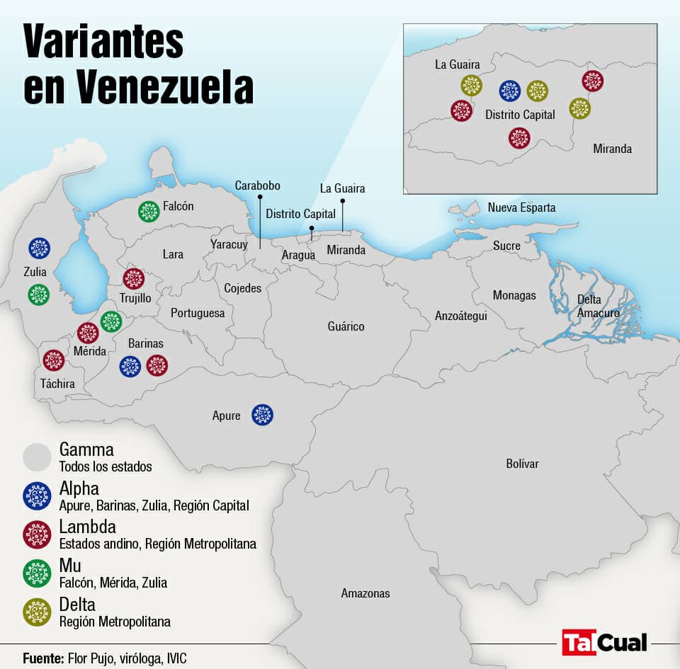 Alertamos sobre la circulación de 5 variantes de Covid-19 en el país detectadas por el IVIC y en la zona metropolitana de Caracas, Miranda y Vargas 4 al mismo tiempo. Con esta información deberíamos esperar un repunte importante d casos. Que pasa en el oriente. Vía <a href="/DiarioTalCual/">TalCual</a>