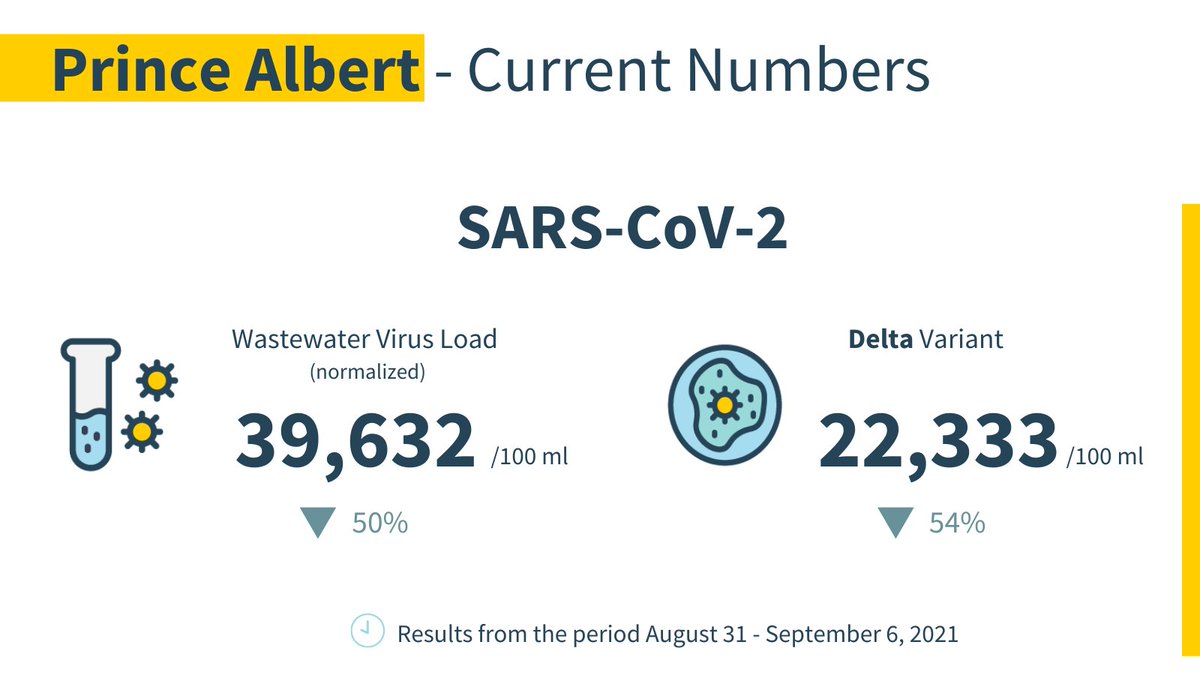usask_water's tweet photo. In #PrinceAlbertSK: There is a 50% ⬇️ in the #SARSCoV2 viral load during the reporting period 

Delta (B.1.617) variant is the only VOC detected in #PrinceAlbertSK wastewater https://t.co/mu7XLT4Ar3