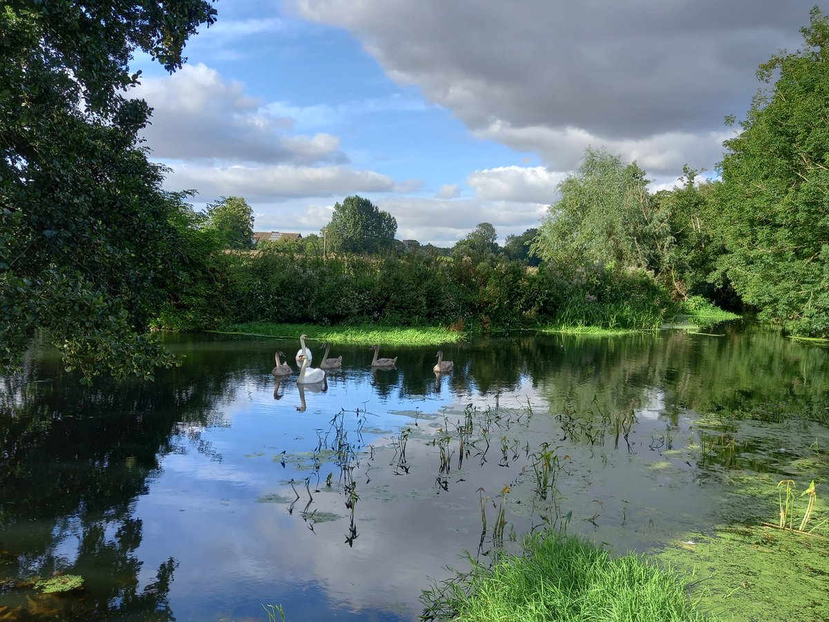 Found this family at the bottom of our field lovely view as well #myriver #riverwaveney #ukrivers @RiverWaveney