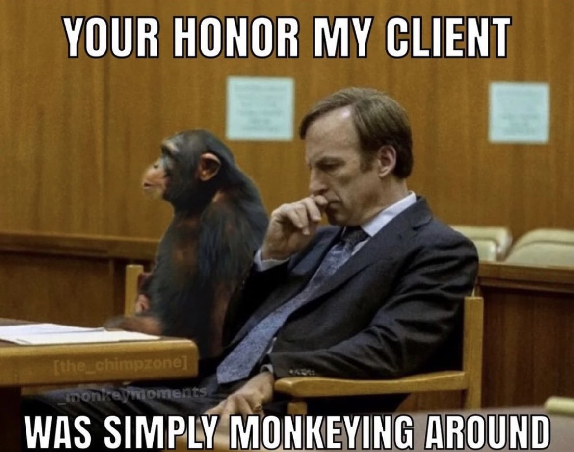 The Monkey Monday (@TheMonkeyMonday) / Posts / X
