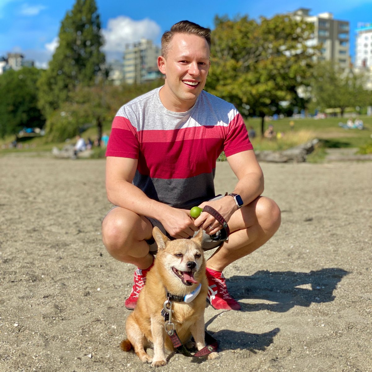 JoshRimer's tweet photo. A beautiful day for one of my favourite activities - dog walking! 🐕🚶🏻‍♂️🌤 https://t.co/pFSM5GLMWq
