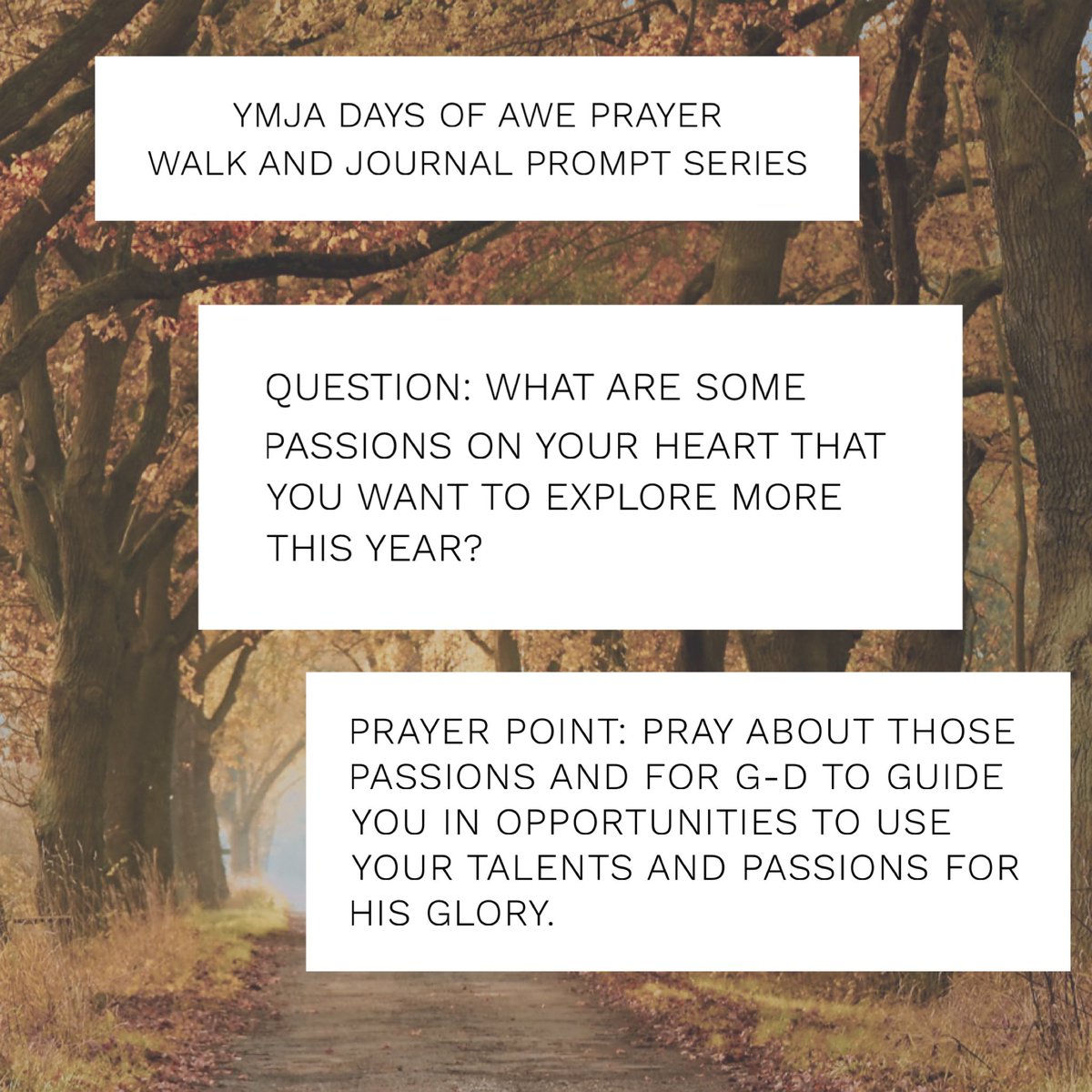 YMJAinfo's tweet photo. #daysofawe #passions #reflections https://t.co/ORndtwDJgd