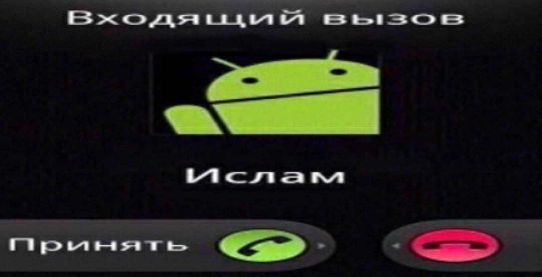 _limb__'s tweet image. мой пульс: окчел)
мой пульс, когда я представляю, что ВСЕ мои знакомые и родственники подписываются на меня в твиттере: