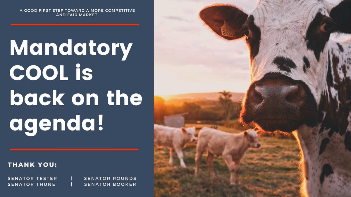 worcaction's tweet photo. Mandatory #CountryOfOriginLabeling is back on the agenda! Thanks @SenatorTester @SenJohnThune @SenatorRounds @SenBooker. COOL helps #ranchers get fair prices & lets consumers know where their #beef comes from. Learn more about #COOL: https://t.co/FQM0af8wUP https://t.co/DoxrMGGzwb