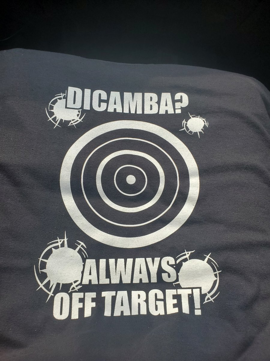 Shirts are in