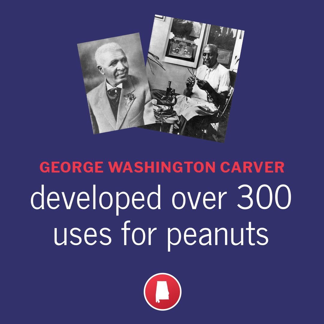 GovernorKayIvey's tweet photo. Did you know Alabama has 900+ peanut farmers? 

As we celebrate one of America’s favorite legumes this #NationalPeanutDay, we recognize our outstanding farmers &amp; researchers that continue building on Dr. Carver’s legacy. https://t.co/YnXzTIchbY