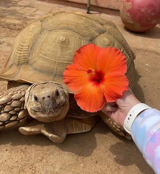 Cara Maré tweet media