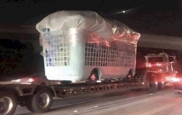 defffkapp's tweet image. single men when they visit their moms crib