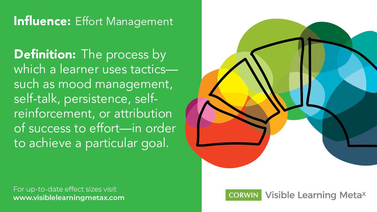 With an effect size of 0.77 (as of the latest research), effort management has the potential to considerably accelerate achievement.

Explore this influence: ow.ly/Om5V50G8Umv

#MetaXMonday #WeAreVL
