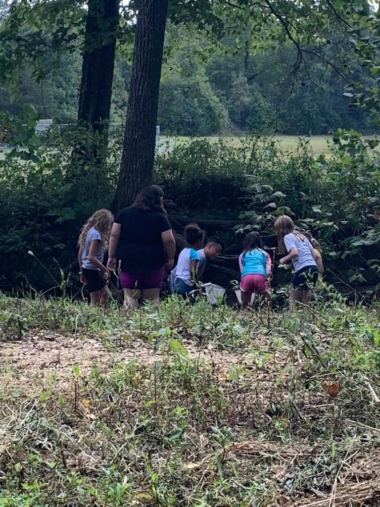 Dr. Amanda Adams tweet media