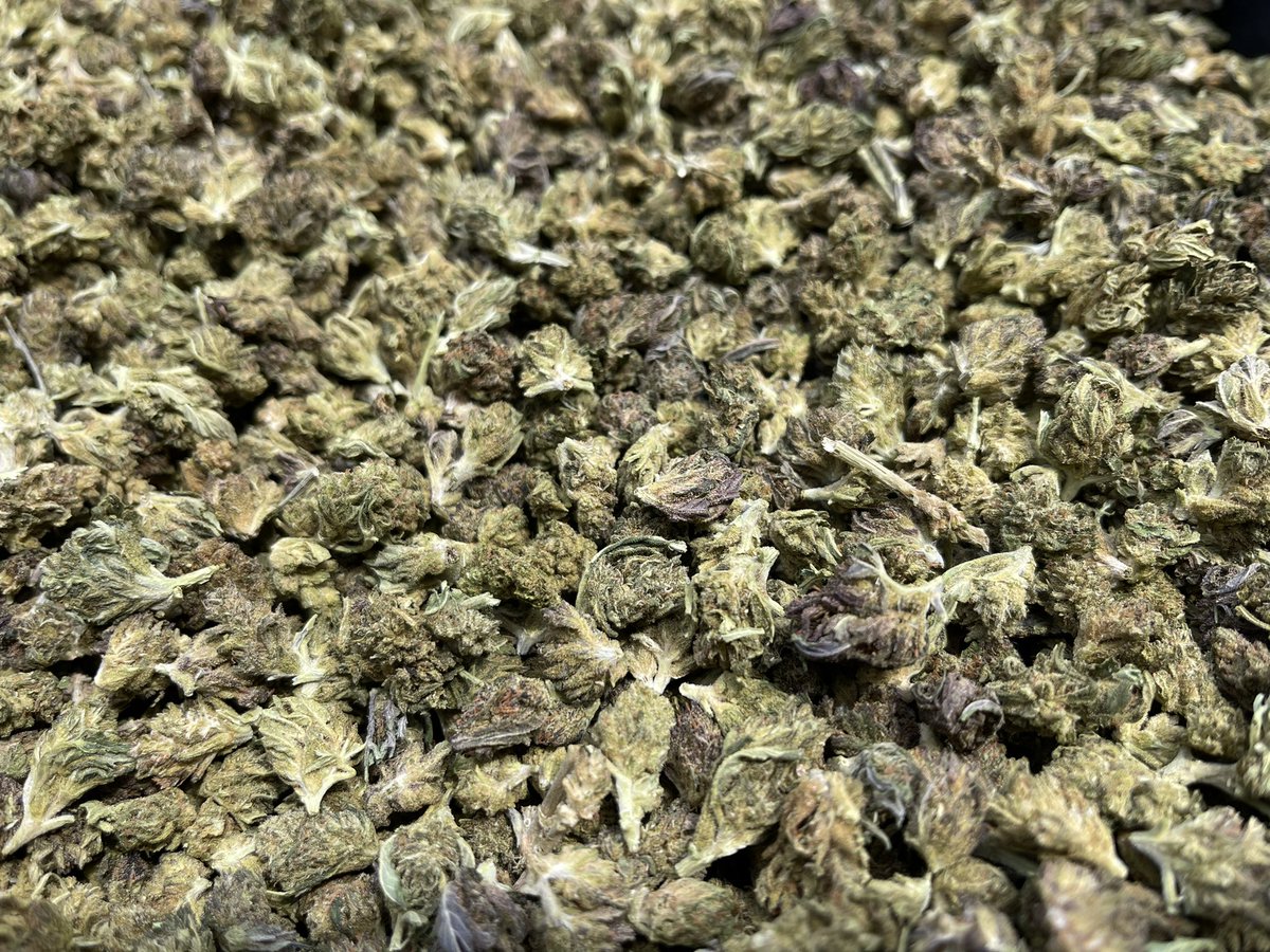 HempJaxon's tweet photo. 2019 Siskiyou Gold Smalls
$29 a pound while supplies lasts!
for more more info. For being a 2019 product, it has a brilliant nose.
Call Tim at 971.900.2062
#hemp #cbd #hempbusiness #hempindustry #hempindustry #cbdculture
https://t.co/biA2bEAc72 https://t.co/UZw2aaoNPH