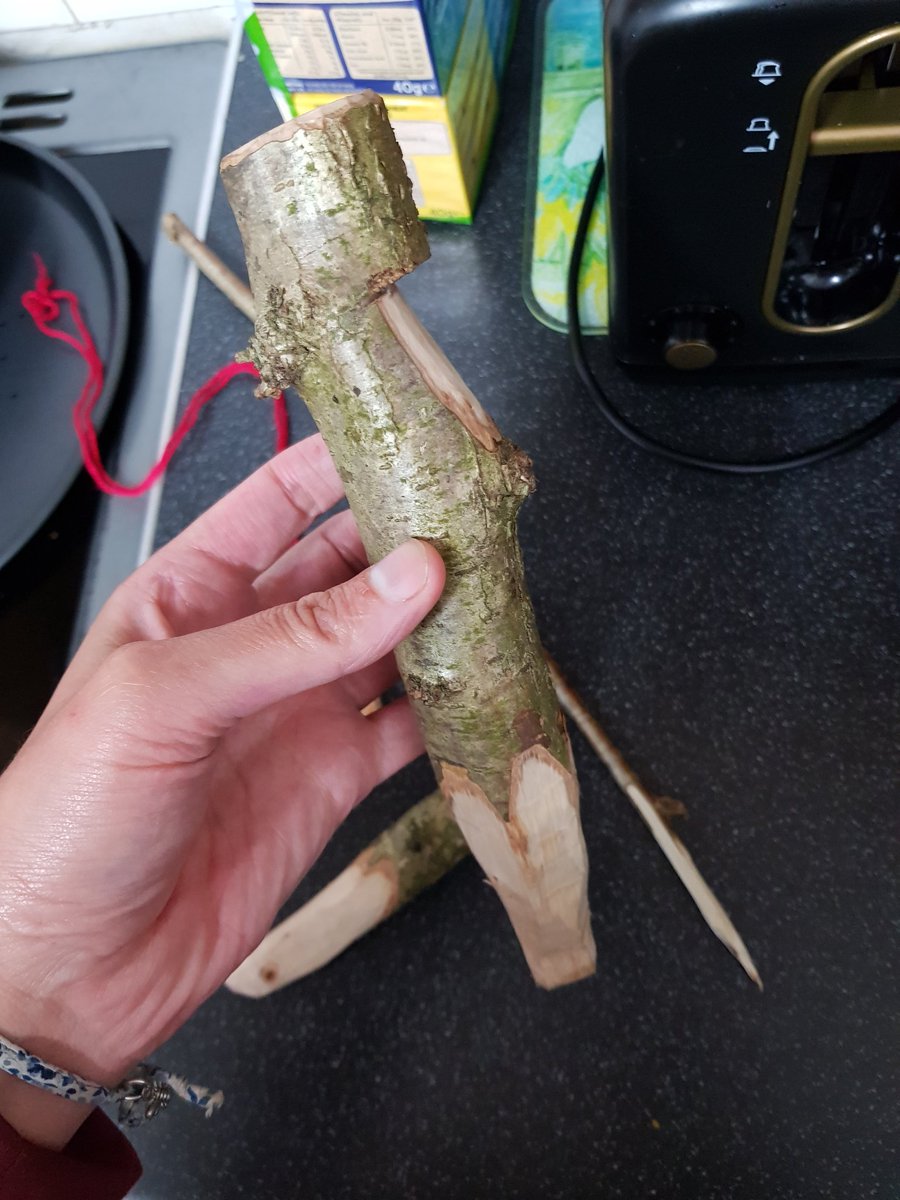 chudley_90's tweet photo. Is it work if you have fun?
... Today I was paid to play in the woods, build dens, play on a rope swing, use tools and to sit in the woods for 20mins and just relax!
Can I do this everyday?
#ForestSchool #Training #OutdoorsGroup #Nature #Whitling #MadeAThing https://t.co/R2ctLpOtNP