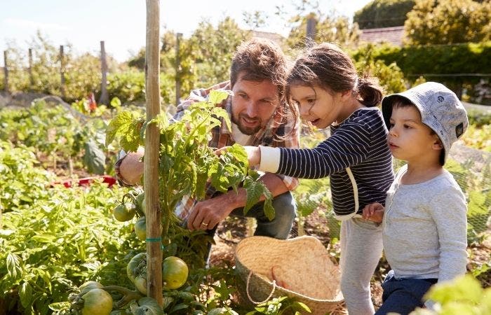 _Fiesta10's tweet photo. Comentario en Cómo potenciar en nuestros hijos las 22 habilidades esenciales antes de los 10 años por Manuel https://t.co/rer2QeMYEw https://t.co/G3JGGqUFj4