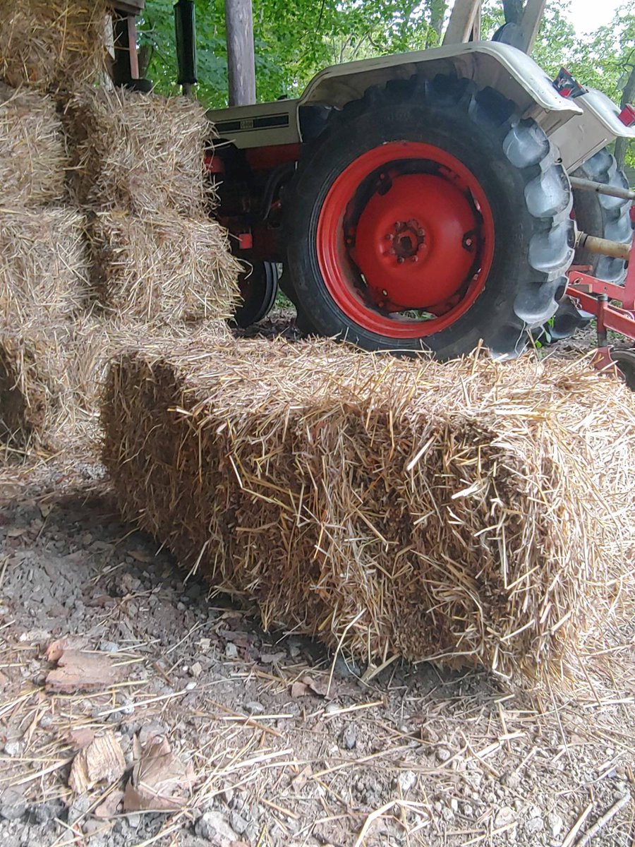 ValleyViewUs's tweet image. Need hay bales?  48 hours and they will be gone...
conta.cc/3lpr1N9