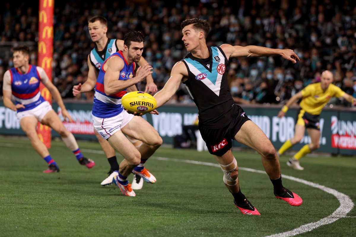 AFL tweet media