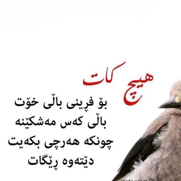harezkurd12's tweet photo. https://t.co/tPd7170y3I