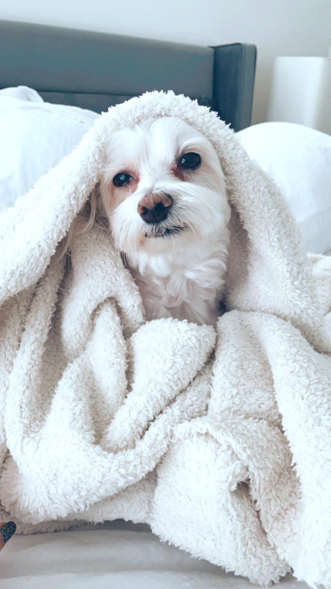 Tati Westbrook tweet media