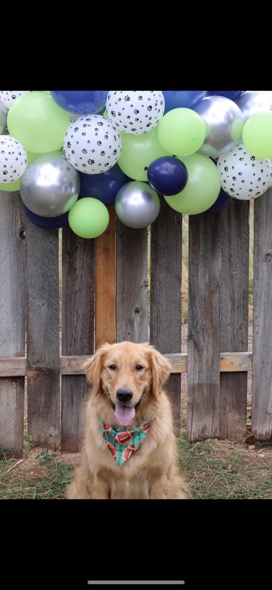kagolladay's tweet photo. In honor of the start of regular season, Gus had a @Seahawks themed first birthday 🏈 #weare12 #Seahawks https://t.co/ISvhReQSOR