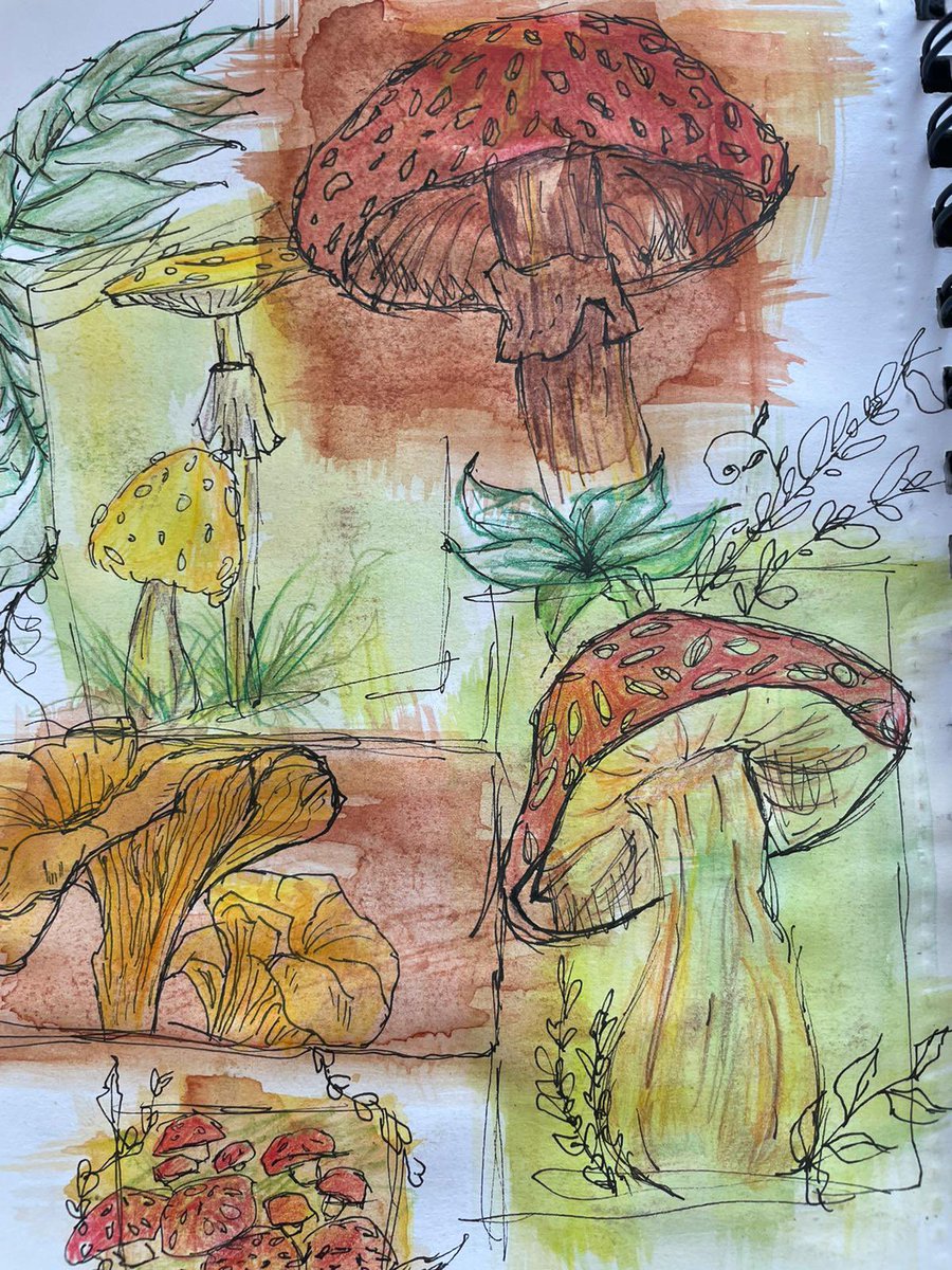 Our Year 12 students have made a fantastic start to their A Level Fine Art course #artjournal #theartofseeing <a href="/PlymptonAcademy/">Plympton Academy</a>