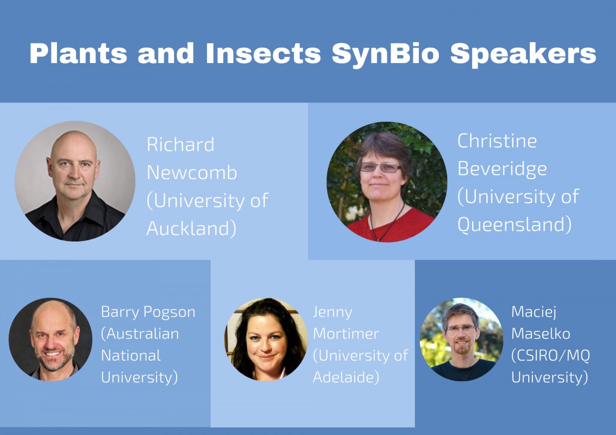 Second day of #SBA2021 starting shortly. Join us for another day of amazing speakers. Today's first session is Plants and Insects SynBio.
