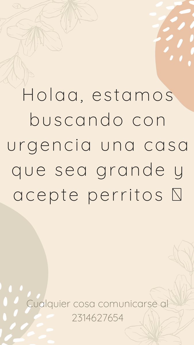 berde_nare's tweet photo. Hola, con mis hermanos nos tenemos que mudar con urgencia, por que la casa en la que estamos se vende.
 Si saben de algo me avisan? Gracias 🙏💕 https://t.co/hepxYb62N3