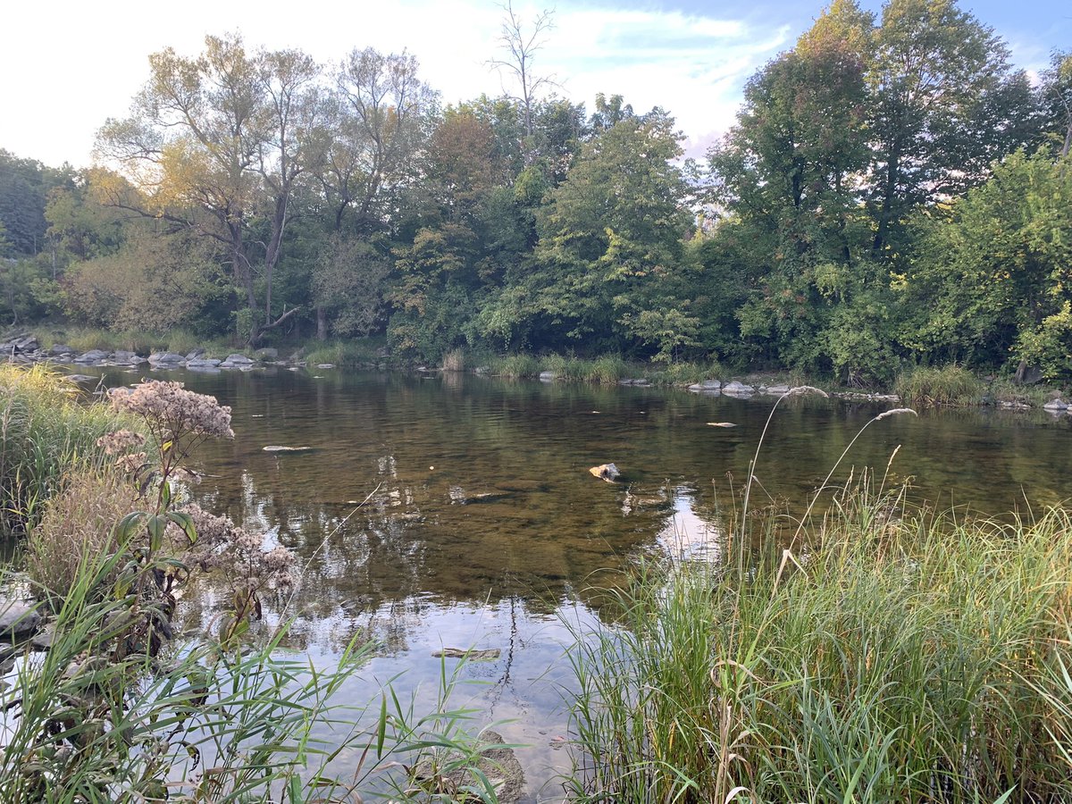 Enjoying another gorgeous day!