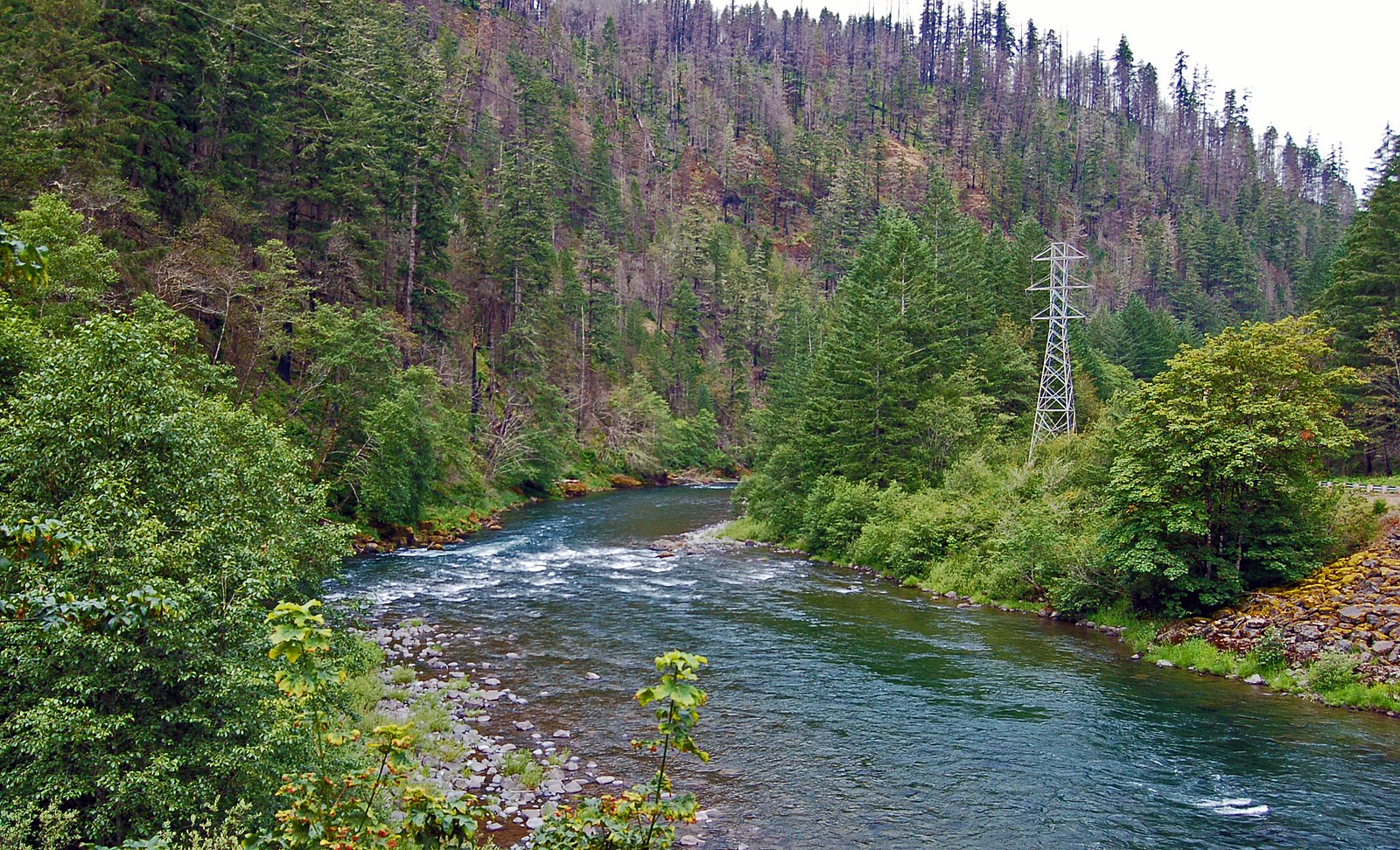Clackamas River