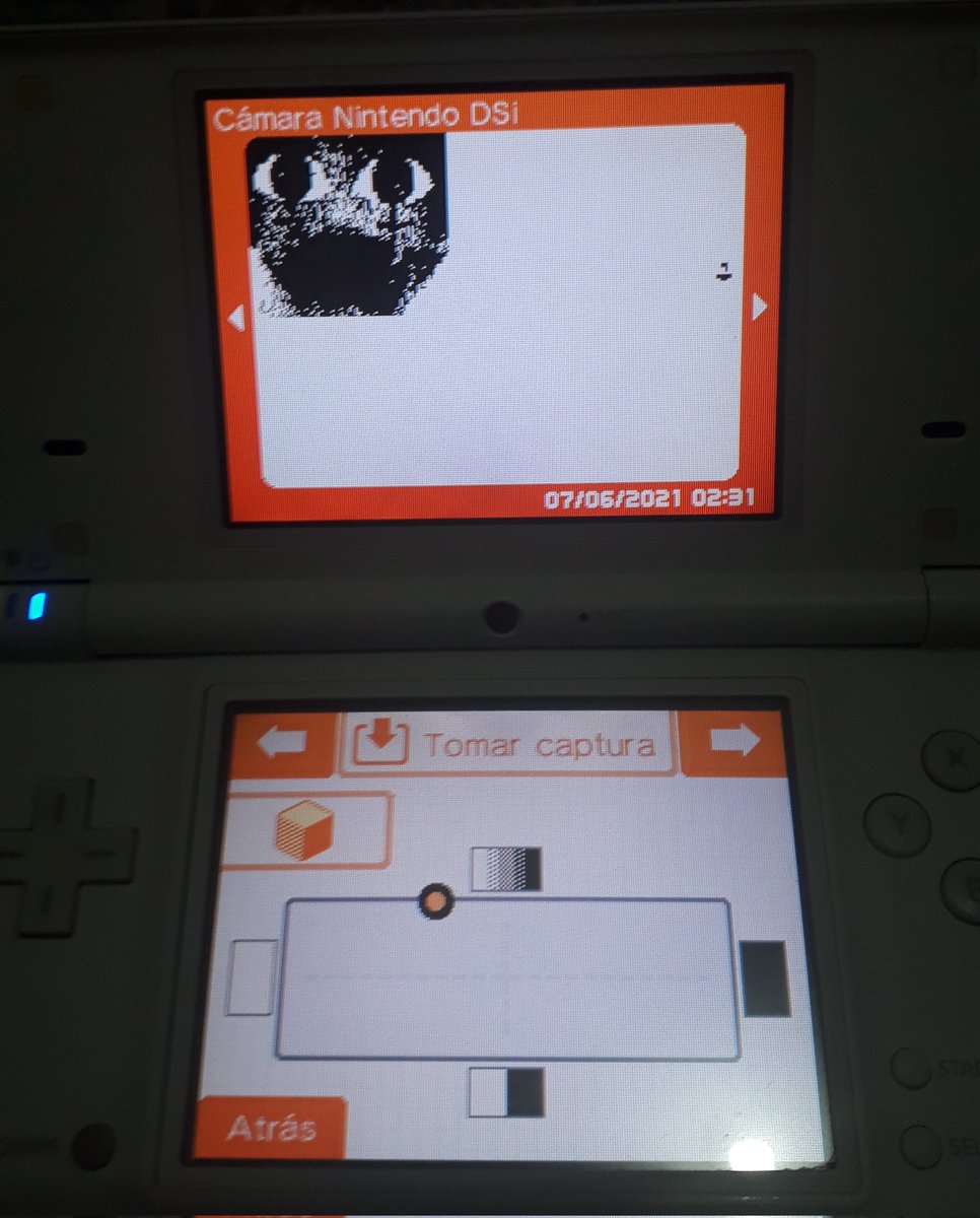 flipnote studio dsi