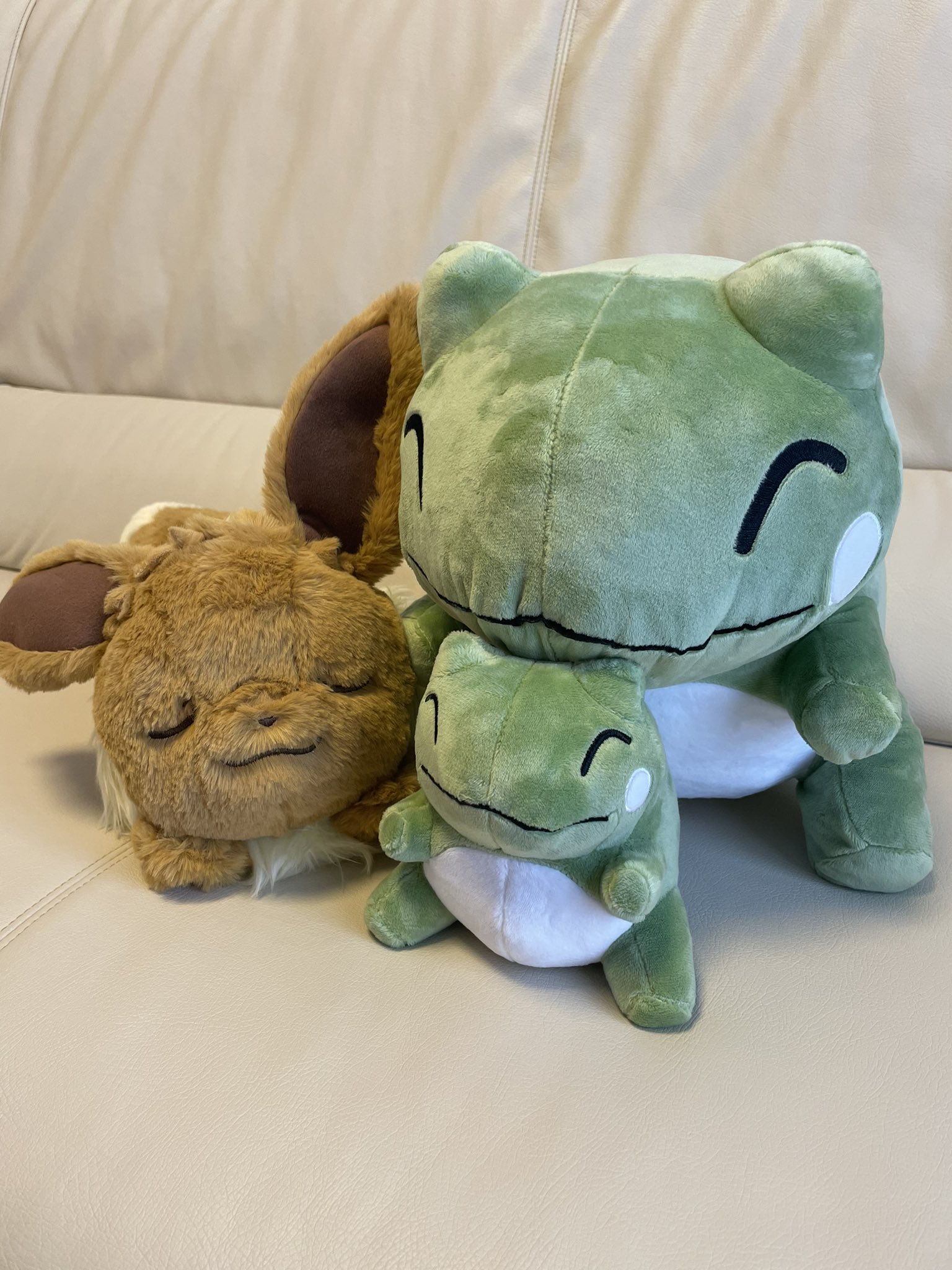 ロイバロリ 新入り増えた ポケモン イーブイ みがわり人形 T Co L0hzc8jsmm Twitter
