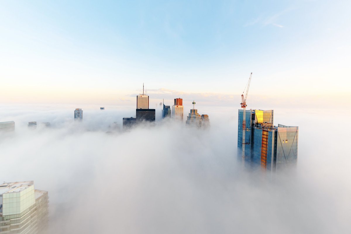 _Pluger's tweet image. Some of my favourite memories over the years.