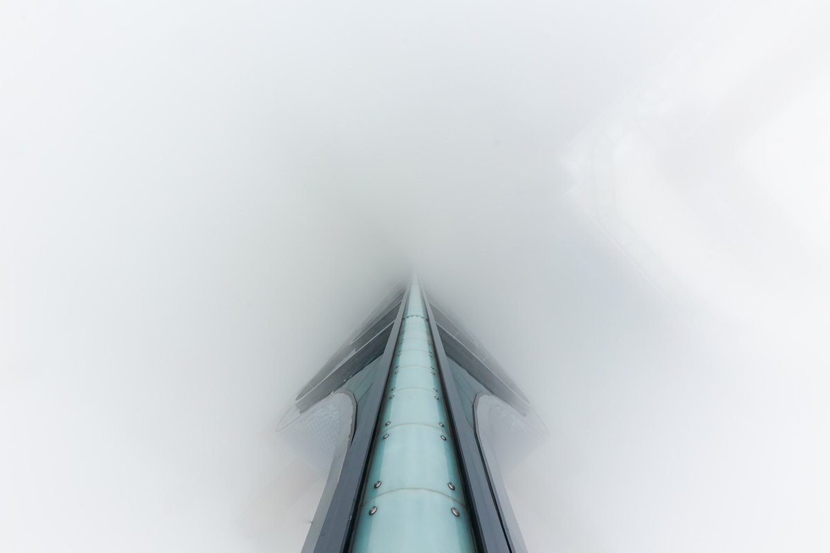 _Pluger's tweet image. Some of my favourite memories over the years.