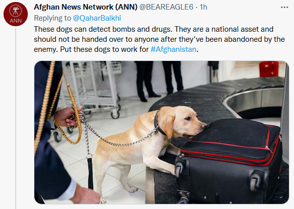 When you publicly post you're willing to pay, the Talibs see it.

Please, intermingle amongst yourselves about it, it's great you want to find solutions, but don't publicize negotiations or willingness to pay.

#OperationHercules #NoPawsLeftBehind #WarPaws #GoDark