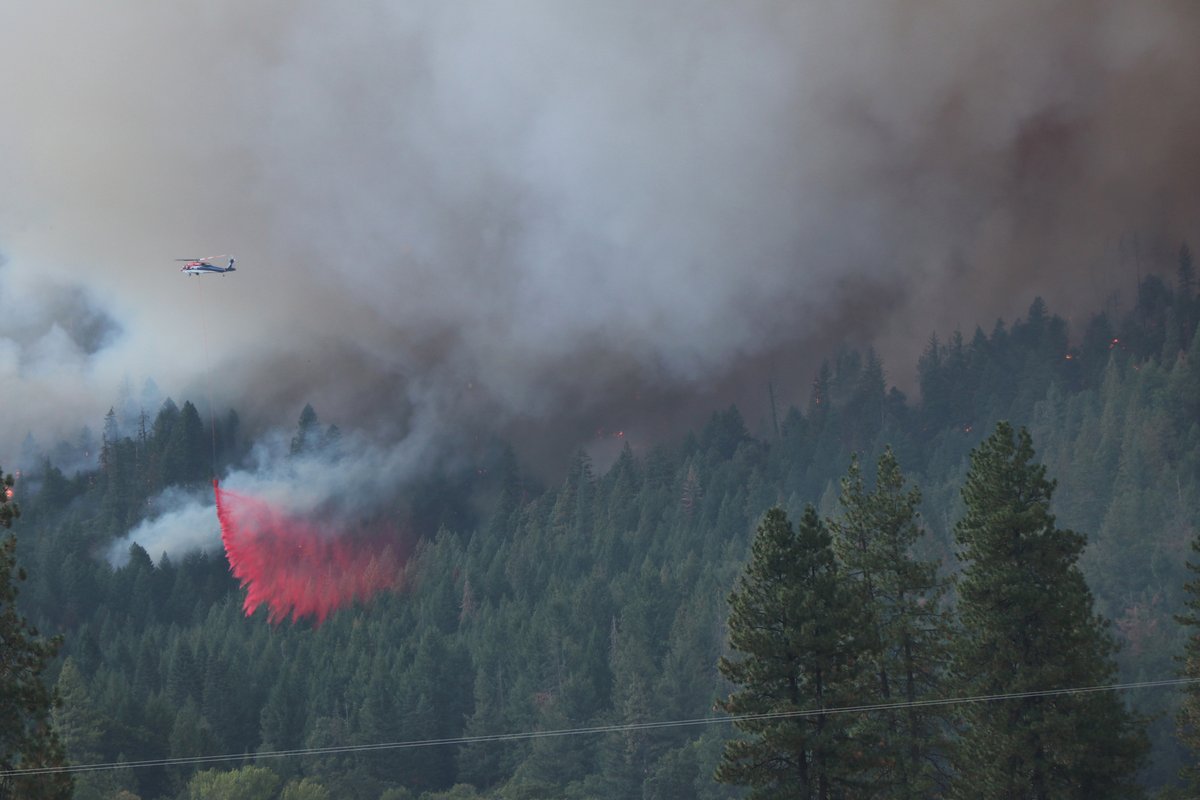 ShastaTrinityNF tweet picture