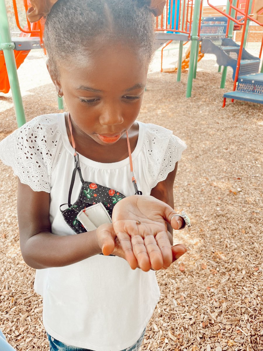 RCPS_EarlyLearn's tweet image. Ladybug 🐞 #playgroundscience #insects