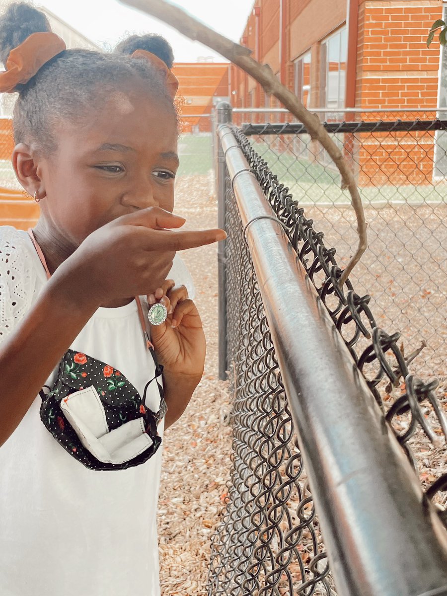 RCPS_EarlyLearn's tweet image. Ladybug 🐞 #playgroundscience #insects