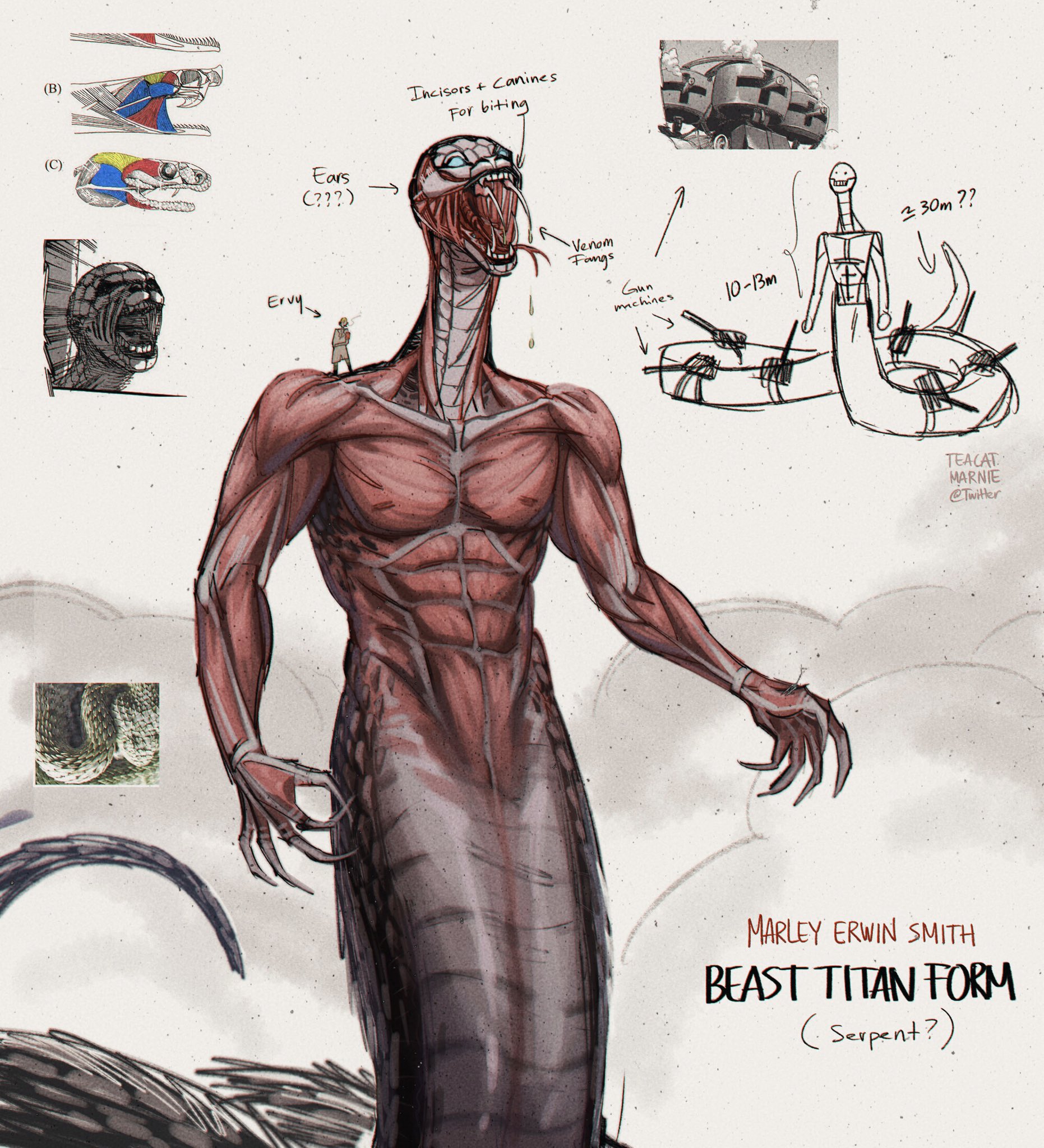 Erwin Titan Form
