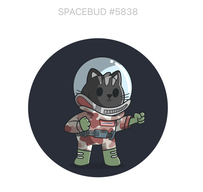 johnnyapples021's tweet photo. Welcome to the #JohnnyApples family #ada #SpaceBudz #cat https://t.co/lxnCKekdIO