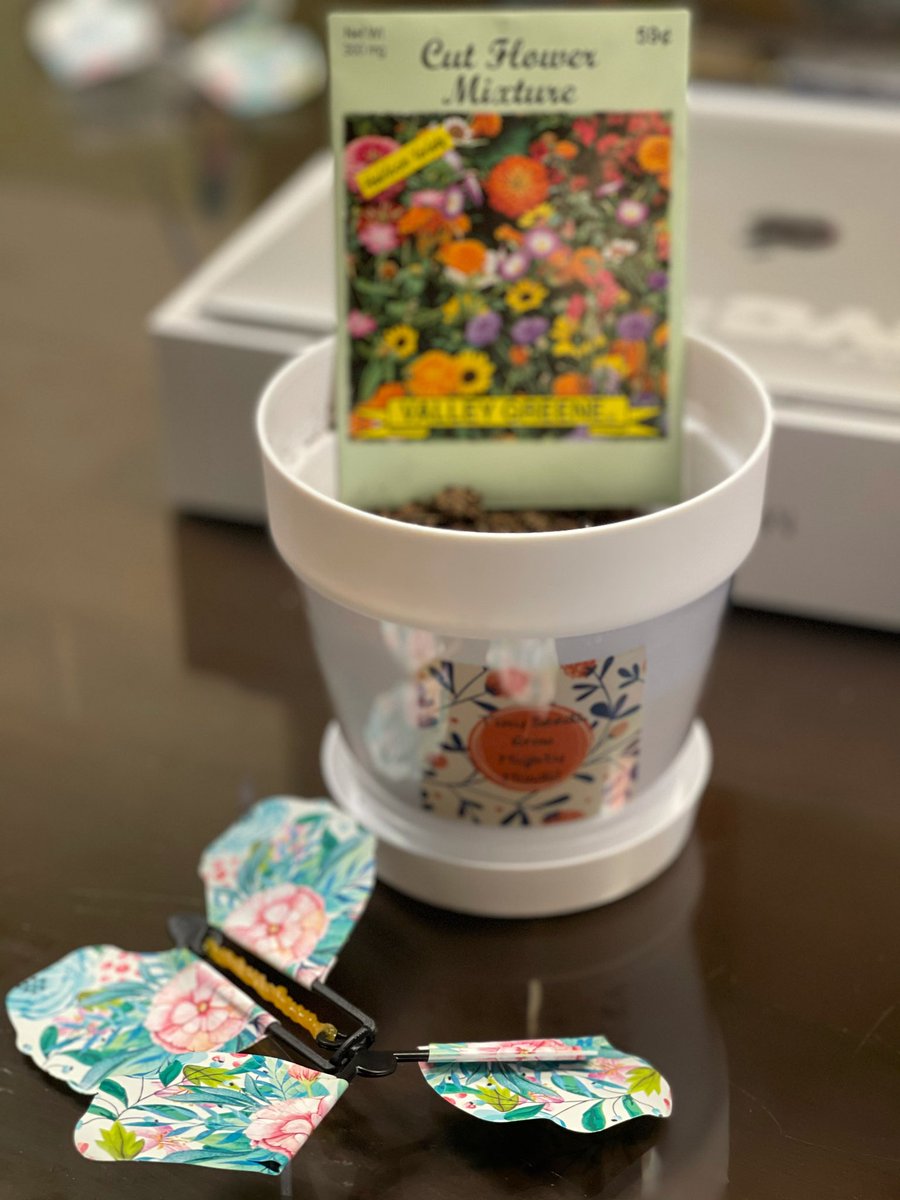 TamraCollinsD19's tweet photo. PS 7 Seeds of Change... Celebrating New Beginnings, New Friendships, and New Adventures with the PS 7 School Community. Congratulations to Principal Abrego on your “first” FDOS as principal🎉 @PS007K @SpenceIreneK @NYCDistrict19 @ExecSuptKWatts https://t.co/cOJSI4ci2m