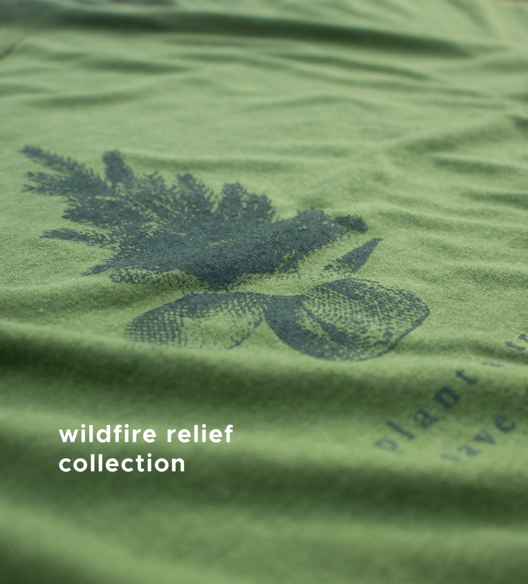 The new ‘sapling’ tee from our latest tee collection benefiting reforestation efforts in areas of BC that have been affected by fires.