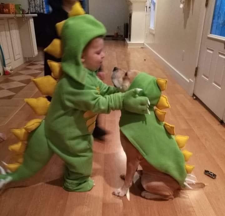WholesomeMeme's tweet photo. https://t.co/ZZNB1pThUp