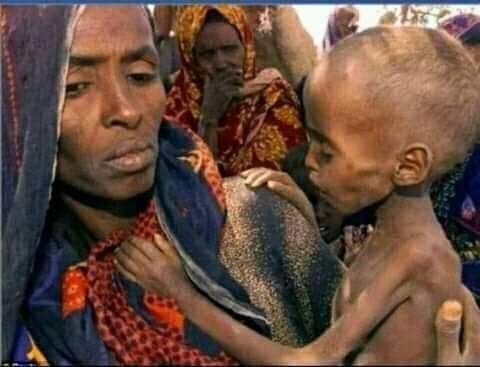 Alex_G_AGA's tweet photo. #DeathToTPLF #DeathToPP #DeathToANDM who are starving z people of #Amhara in #Wollo to death in a manmade famine.The #WolloAmhara are being sacrificial lamb in the power struggle among fascist,genocidal #TPLF& evil .@AbiyAhmedAli.
#Wollo_Famine
#WolloIsStarving
#AidForAmharaIDPs https://t.co/mphgFm1WAz