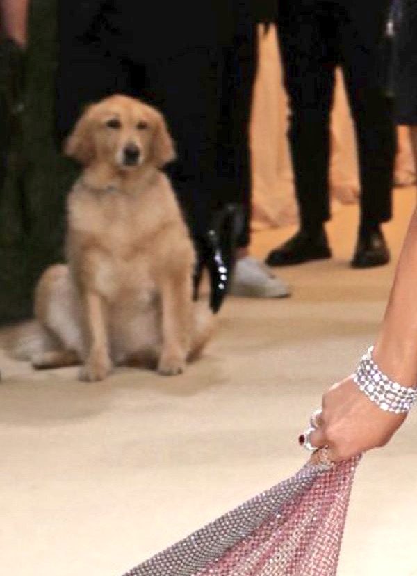 Me imagino a Tarzan esperando a Camila y Shawn pensando que lo abandonaron jajajajajaja #MetGala