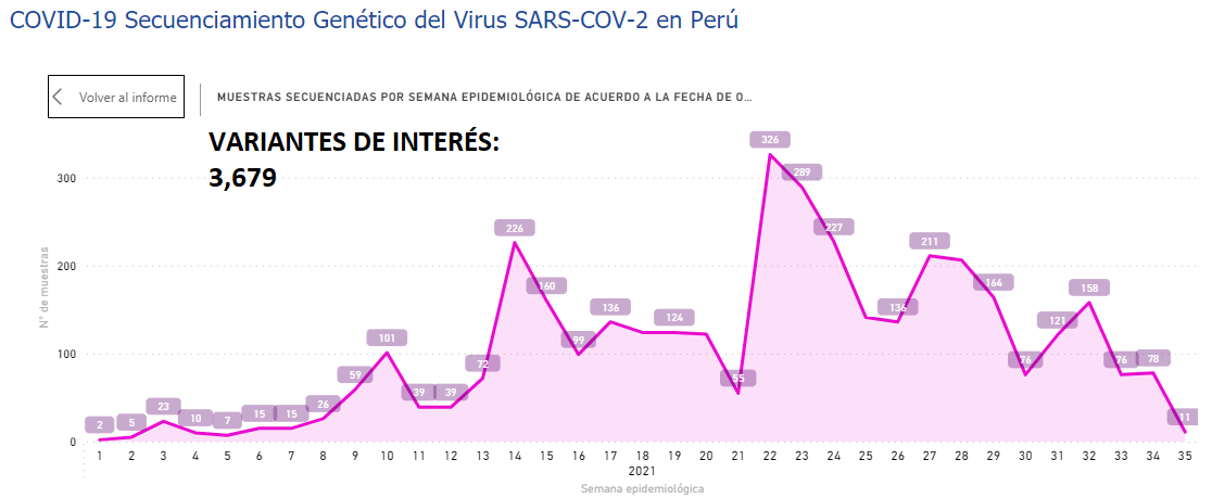 juank23_7's tweet image. #LambdaVariant (Interés) y #Gamma (Preocupación) siguen siendo las predominantes en el Perú

Sin embargo, ambas en DESCENSO📉 por semana epidemiológica
🗓️Última Semana#35 (29/08 al 04/09)

¿Y las #VarianteDelta y #VarianteMu ?
En DESCENSO📉

Fuente: web.ins.gob.pe/es/covid19/sec…