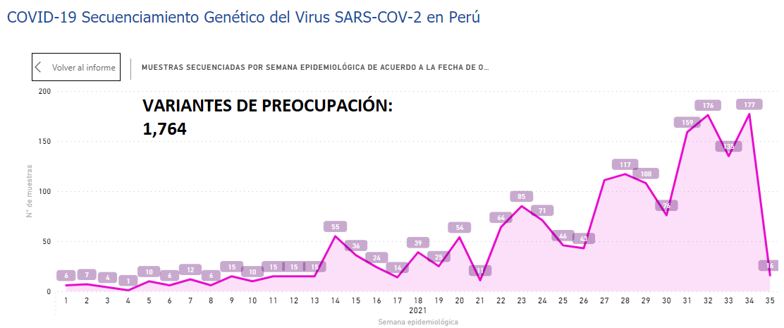 juank23_7's tweet image. #LambdaVariant (Interés) y #Gamma (Preocupación) siguen siendo las predominantes en el Perú

Sin embargo, ambas en DESCENSO📉 por semana epidemiológica
🗓️Última Semana#35 (29/08 al 04/09)

¿Y las #VarianteDelta y #VarianteMu ?
En DESCENSO📉

Fuente: web.ins.gob.pe/es/covid19/sec…