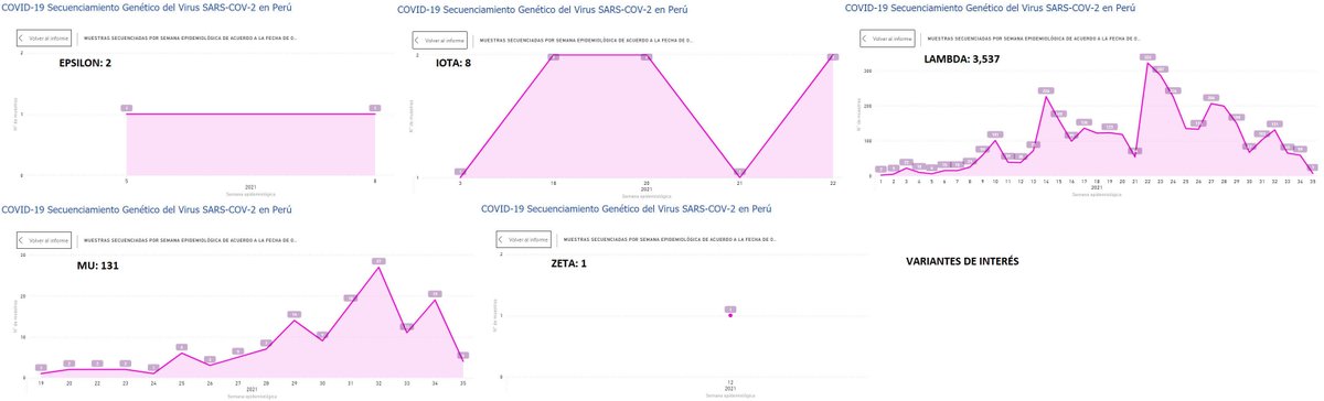 juank23_7's tweet image. #LambdaVariant (Interés) y #Gamma (Preocupación) siguen siendo las predominantes en el Perú

Sin embargo, ambas en DESCENSO📉 por semana epidemiológica
🗓️Última Semana#35 (29/08 al 04/09)

¿Y las #VarianteDelta y #VarianteMu ?
En DESCENSO📉

Fuente: web.ins.gob.pe/es/covid19/sec…
