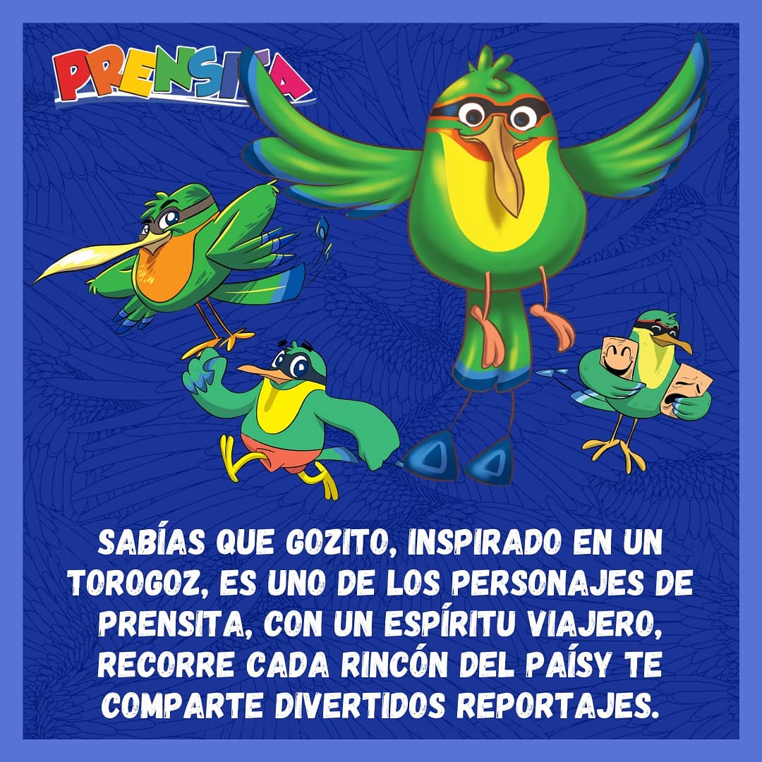 prensita's tweet photo. Parte II.
Nuestra ave nacional 🕊️ habita en la mayor parte de Centroamérica y en algunas regiones de México. Es importante que la protejamos y la apreciemos por ser un valioso símbolo nacional de El Salvador 🇸🇻.
#elsalvadornationalbird #torogoz #avenacionalelsalvador #gozito https://t.co/CHuQrvUyET