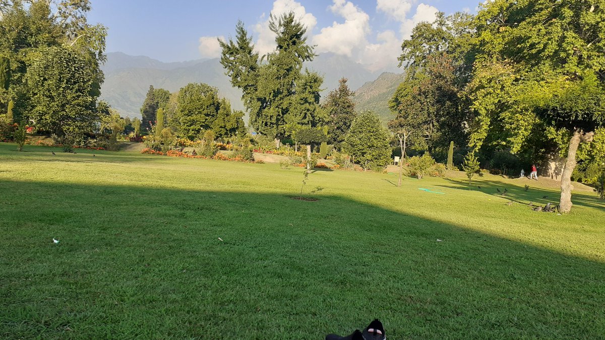MiholiaR's tweet photo. Beauty  of Srinagar https://t.co/oXE5JiUhlK