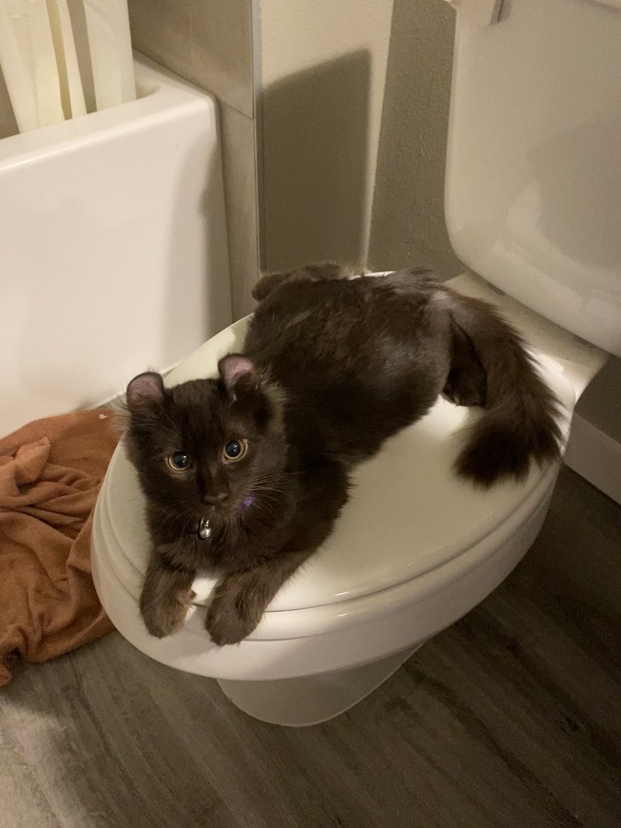 wanted to pee but i’ll come back later 🥲